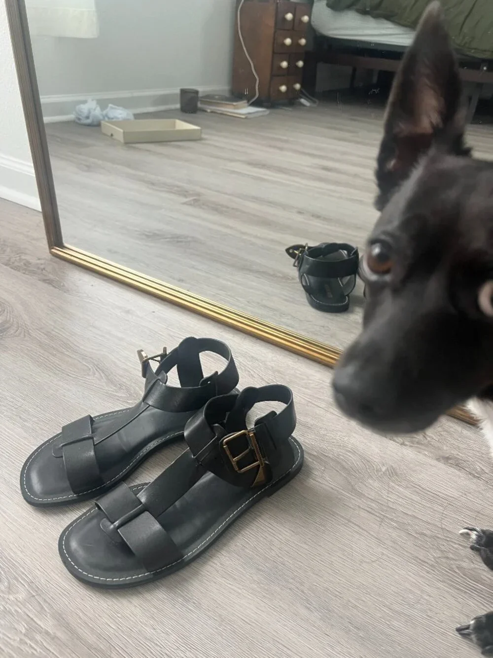 Steve Madden Donddi Black Leather — size 8